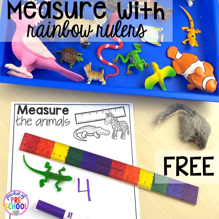 Measuring animals with rainbow rulers for preschool, pre-k, and kindergarten students. 