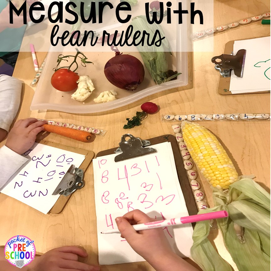 Measuring vegetables with bean rulers for preschool, pre-k, and kindergarten students.