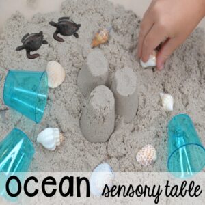Ocean sensory table! Ocean theme activities and centers for preschool, pre-k, and kindergarten (math, liteacy, sensory, fine motor, STEM). #oceantheme #preschool #prek #beachtheme