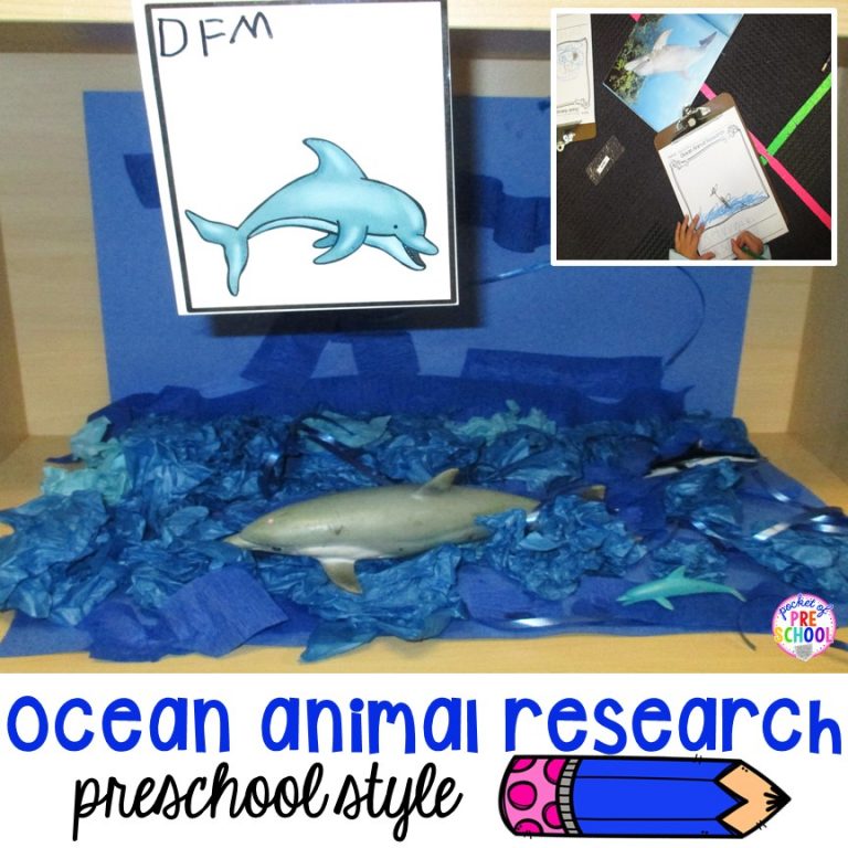 Ocean Animal Research and Habitat Building – Preschool Style