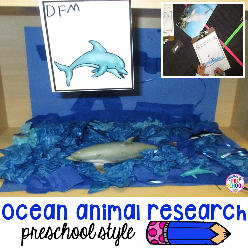 Ocean Animal Research and Habitat Building - Preschool Style - Pocket of  Preschool
