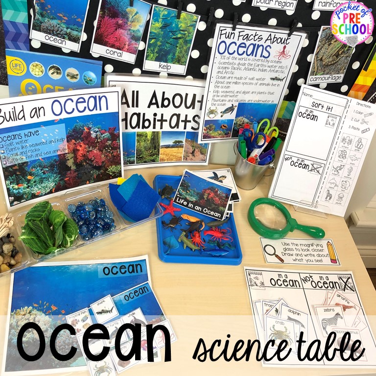 Ocean science table! Ocean theme activities and centers for preschool, pre-k, and kindergarten (math, liteacy, sensory, fine motor, STEM). #oceantheme #preschool #prek #beachtheme