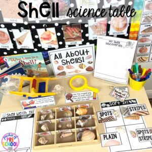 Shell science table! Ocean theme activities and centers for preschool, pre-k, and kindergarten (math, liteacy, sensory, fine motor, STEM). #oceantheme #preschool #prek #beachtheme