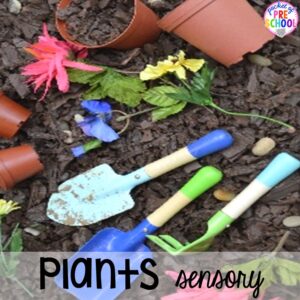Planting sensory table! Sensory table ideas - sensory filler list, sensory tools list plus how to make it meaningful play in your preschool, pre-k, or kindergarten classroom.