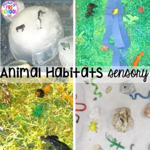 Animal small world habitats for sensory table! Perfect for a zoo theme.