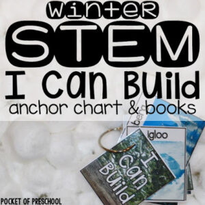 STEM cards with a winter theme made for preschool, pre-k, and kindergarten students