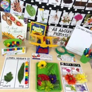 All About Plants science unit for preschool, pre-k, and kindergarten! Hands on learning experiences for spring.