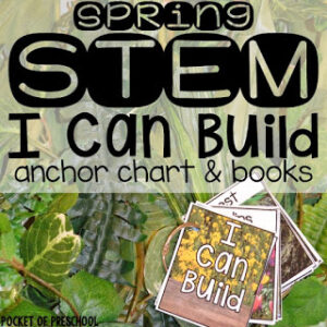 STEM cards with a spring theme to challenge your preschool, pre-k, or kindergarten students