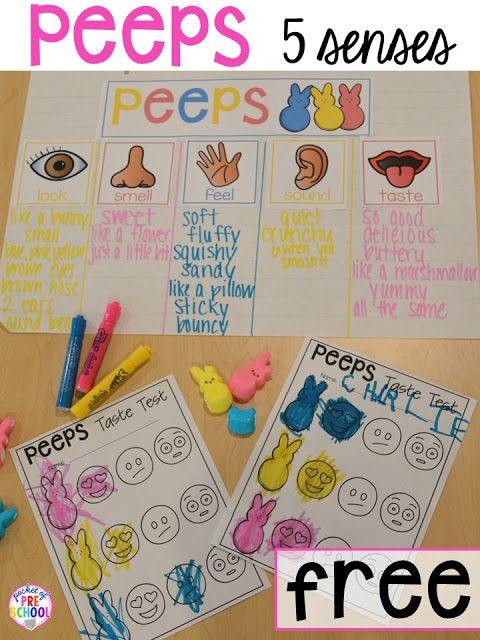 Peeps 5 senses and taste test FREEBIE plus all my favorite Easter themed writing, math, fine motor, sensory, literacy, art, STEM, and science activities for preschool, pre-k, and kindergarten.