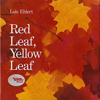 Fall book list for preschool, pre-k, and kindergarten! Leaves, pumpkins, apples, and more!