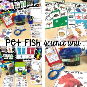 Make learning about Pet Fish and what animals need FUN and hands on in your classroom using this science unit made just for preschool, pre-k, and kindergarten.