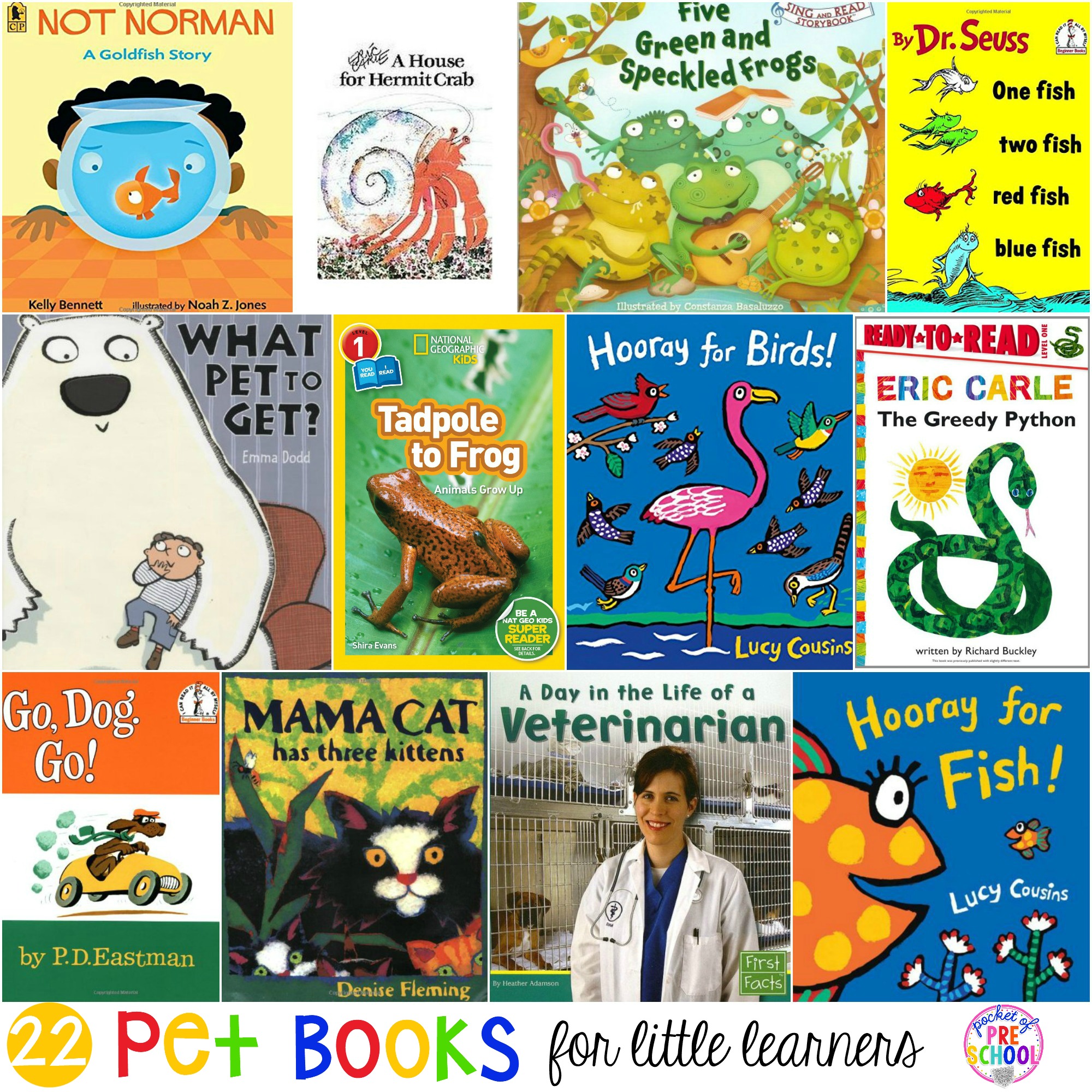 Pre school Animals Toddler Day care Book for Children Kids 
