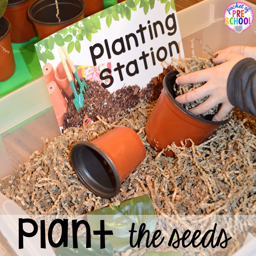 Plant seeds in the Garden Shop Dramatic Play for a spring theme, Mother's Day theme, or summer theme when everything is growing and blooming. Any preschool, pre=k, and kindergarten kiddos will LOVE it (and learn a ton too). #flowershop #gardenshop #presschool #prek #dramaticplay