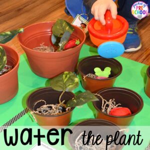 Water the plants in the Garden Shop Dramatic Play for a spring theme, Mother's Day theme, or summer theme when everything is growing and blooming. Any preschool, pre=k, and kindergarten kiddos will LOVE it (and learn a ton too). #flowershop #gardenshop #presschool #prek #dramaticplay