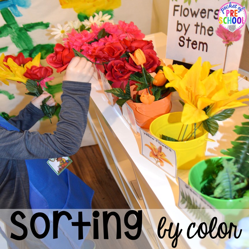 Sort flowers by color at the Flower Shop Dramatic Play for a spring theme, Mother's Day theme, or summer theme when everything is growing and blooming. Any preschool, pre=k, and kindergarten kiddos will LOVE it (and learn a ton too). #flowershop #gardenshop #presschool #prek #dramaticplay