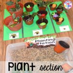 Garden and Flower Shop Dramatic Play - Pocket of Preschool