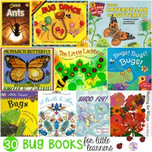 Bug Books for Little Learners - Pocket of Preschool