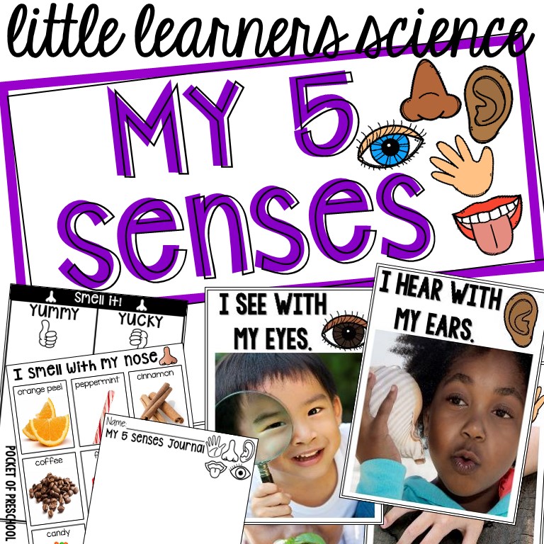 My 5 senses is a complete science lesson plan for preschool, pre-k, and kindergarten students.