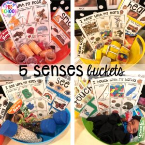 Explore 5 senses for preschool, pre-k, and kindergarten students with this science unit.