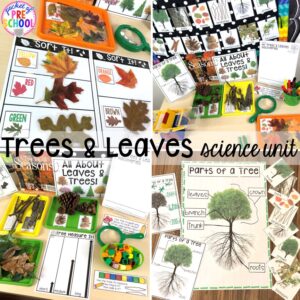 Explore trees and leaves for preschool, pre-k, and kindergarten students with this science unit.
