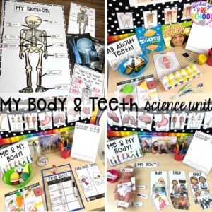 Explore my body and teeth for preschool, pre-k, and kindergarten students with this science unit.