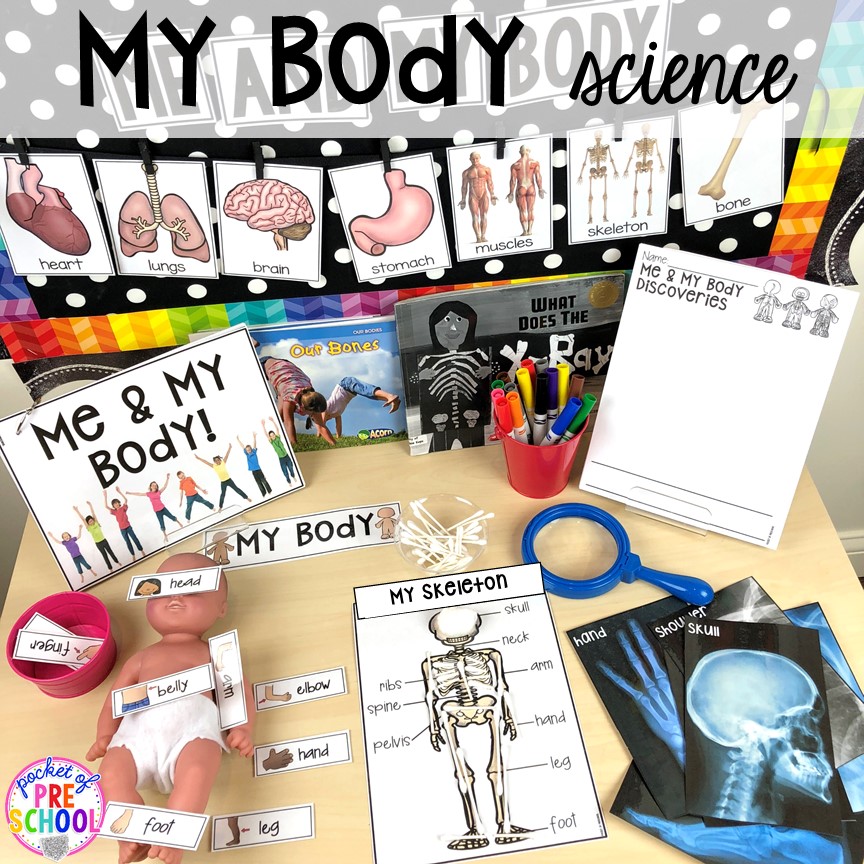 My body science table! My Body themed centers and activities FREEBIES too! Preschool, pre-k, and kindergarten kiddos will love these centers.