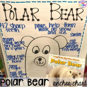 Polar bear anchor chart! Polar animal themed activities and centers for preschool, pre-k, and kindergarten. #polaranimals #polaranimaltheme #preschool #prek