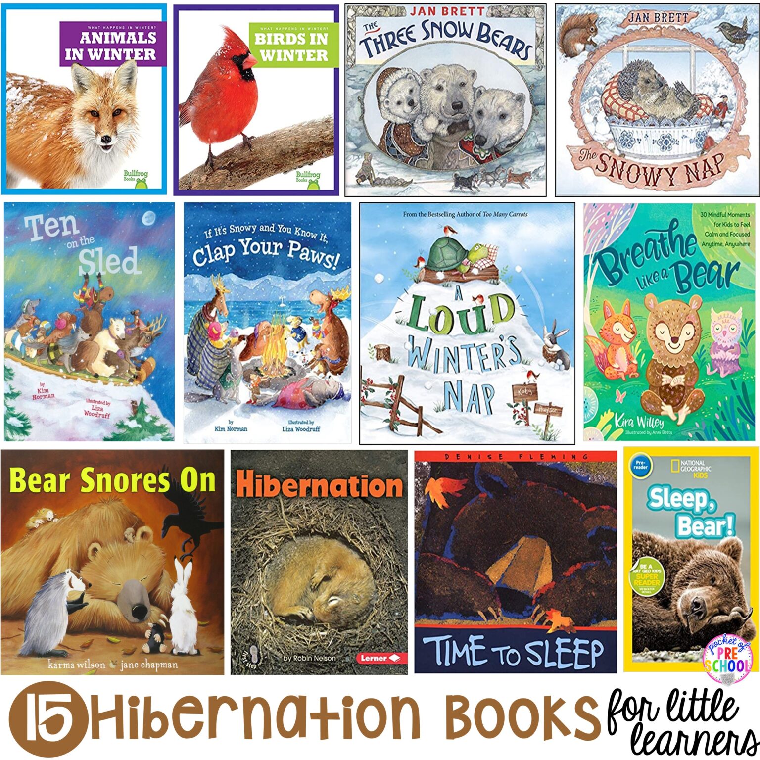 15 Hibernation Books For Little Learners - Pocket Of Preschool