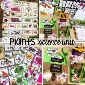 Explore plants for preschool, pre-k, and kindergarten students with this science unit.