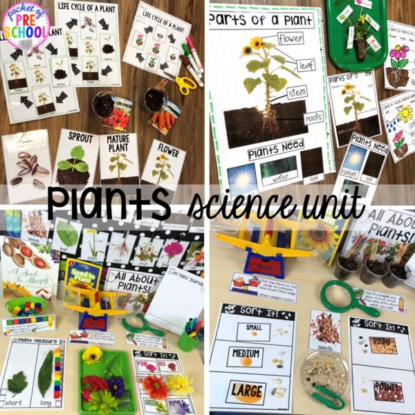 Explore plants for preschool, pre-k, and kindergarten students with this science unit.