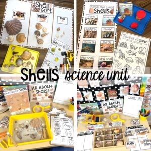 Explore shells for preschool, pre-k, and kindergarten students with this science unit.