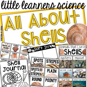 Little Learners Science all about shells, a printable science unit designed for preschool, pre-k, and kindergarten students.