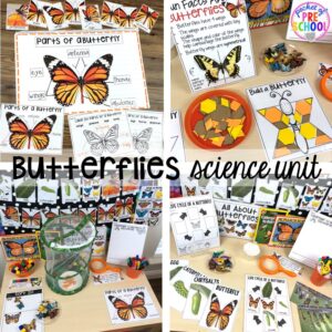 Explore butterflies for preschool, pre-k, and kindergarten students with this science unit.