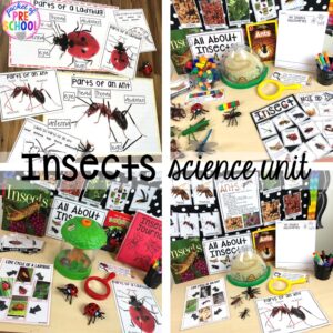 Explore insects for preschool, pre-k, and kindergarten students with this science unit.