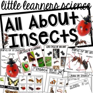 Little Learners Science all about insects, a printable science unit designed for preschool, pre-k, and kindergarten students.