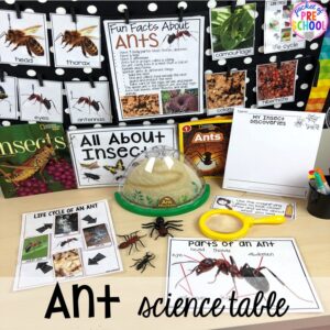 Ant science table! Bug themed activities and centers for preschool, and kindergarten (freebies too)! Perfect for spring, summer, or fall! #bugtheme #insecttheme #preschool #prek #kindergarten