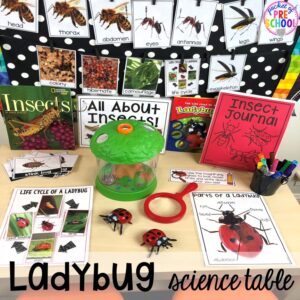 Ladybug science table! Bug themed activities and centers for preschool, and kindergarten (freebies too)! Perfect for spring, summer, or fall! #bugtheme #insecttheme #preschool #prek #kindergarten