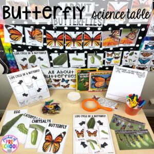 Butterfly science table! Bug themed activities and centers for preschool, and kindergarten (freebies too)! Perfect for spring, summer, or fall! #bugtheme #insecttheme #preschool #prek #kindergarten