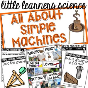 Science Archives - Pocket of Preschool