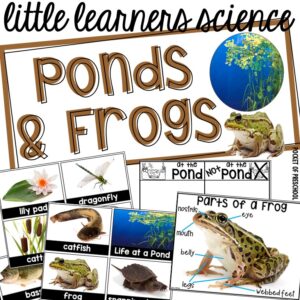 Little Learners Science all about ponds and frogs, a printable science unit designed for preschool, pre-k, and kindergarten students.