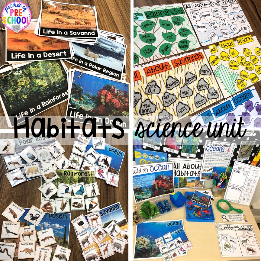 Habitats science unit for a zoo theme (rainforest, savanna, desert, ocean, polar region) for preschool, pre-k, and kindergarten #preschoolscience #sciencecenter #prekscience #kindergartenscience