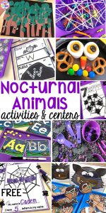 Nocturnal Animals activities and centers for preschool, pre-k, and kindergarten . Ideas for every center, letters, writing, fine motor, sensory, science, art, blocks, and more. #preschool #prek #nocturnalanimalstheme #falltheme