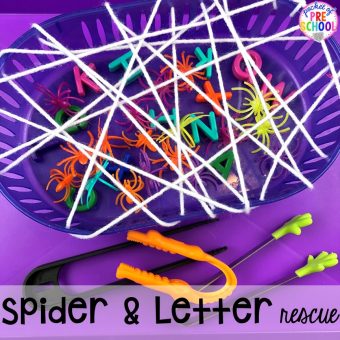 Nocturnal Animals Activities and Centers for Little Learners - Pocket ...