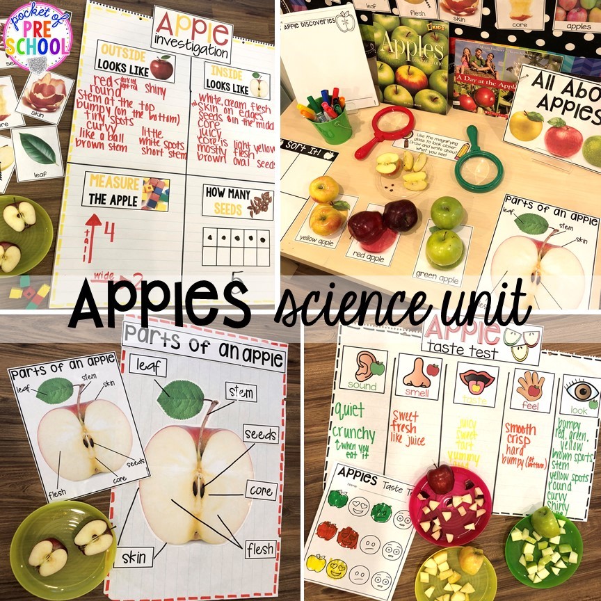 Apple science activities plus more apple theme activities and centers perfect for preschool, pre-k, and kindergarten. #appletheme #preschool #prek #appleactivities 