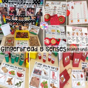 Explore the 5 senses with a gingerbread twist for preschool, pre-k, and kindergarten students
