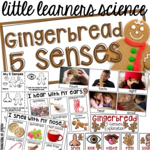 Little Learners Science gingerbread 5 senses, a printable science unit designed for preschool, pre-k, and kindergarten students.