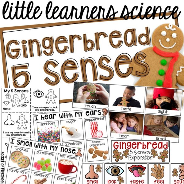 Gingerbread 5 Senses - Science for Little Learners (preschool, pre-k, & kinder)