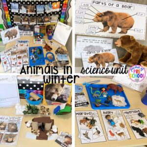 Explore animals in the winter for preschool, pre-k, and kindergarten students with this science unit.
