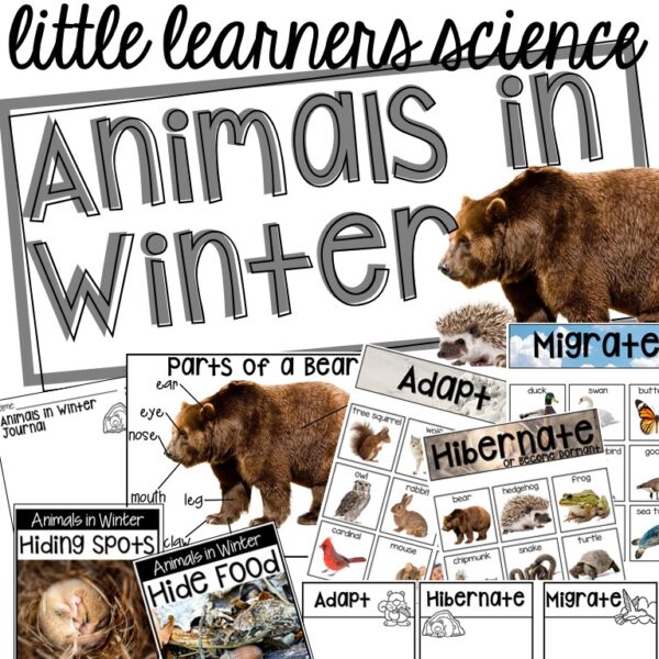 Animals in Winter - Science for Little Learners (preschool, pre-k, & kinder)