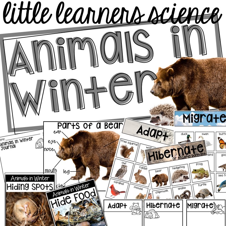 Animals in Winter - Science for Little Learners (preschool, pre-k